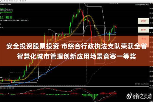 安全投资股票投资 市综合行政执法支队荣获全省智慧化城市管理创新应用场景竞赛一等奖