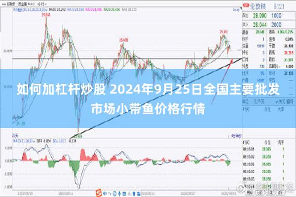 如何加杠杆炒股 2024年9月25日全国主要批发市场小带鱼价格行情