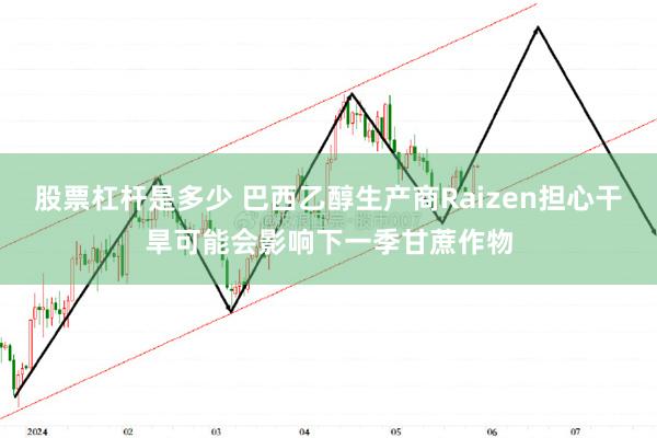 股票杠杆是多少 巴西乙醇生产商Raizen担心干旱可能会影响下一季甘蔗作物