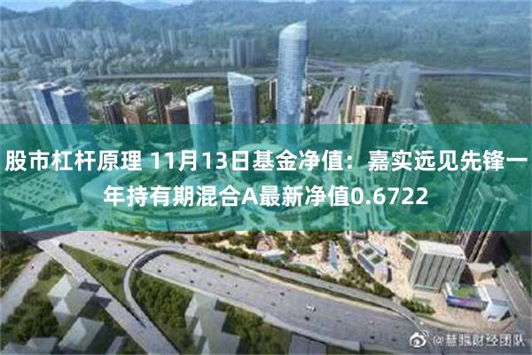 股市杠杆原理 11月13日基金净值：嘉实远见先锋一年持有期混合A最新净值0.6722