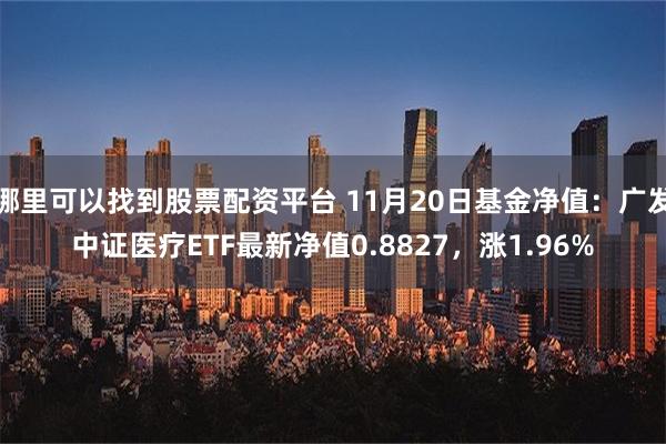 哪里可以找到股票配资平台 11月20日基金净值：广发中证医疗ETF最新净值0.8827，涨1.96%