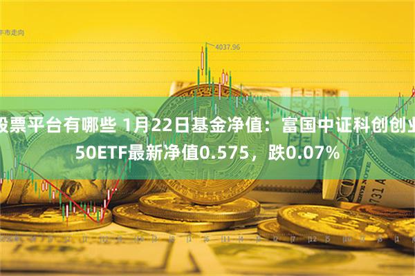 股票平台有哪些 1月22日基金净值：富国中证科创创业50ETF最新净值0.575，跌0.07%